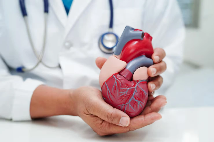 Best Cardiologist in Kanakapura Road: Your Complete Guide to Finding the Right Heart Specialist