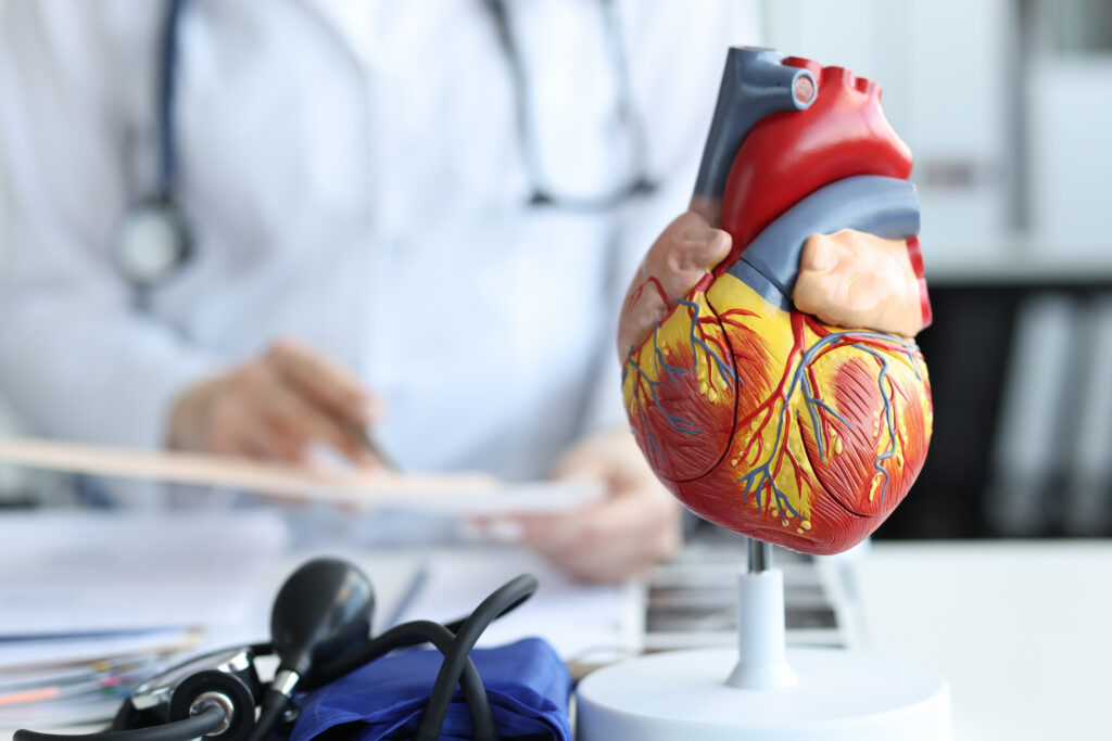 Best Cardiologist in Gubbalala: Everything You Need to Know Before Choosing a Heart Specialist
