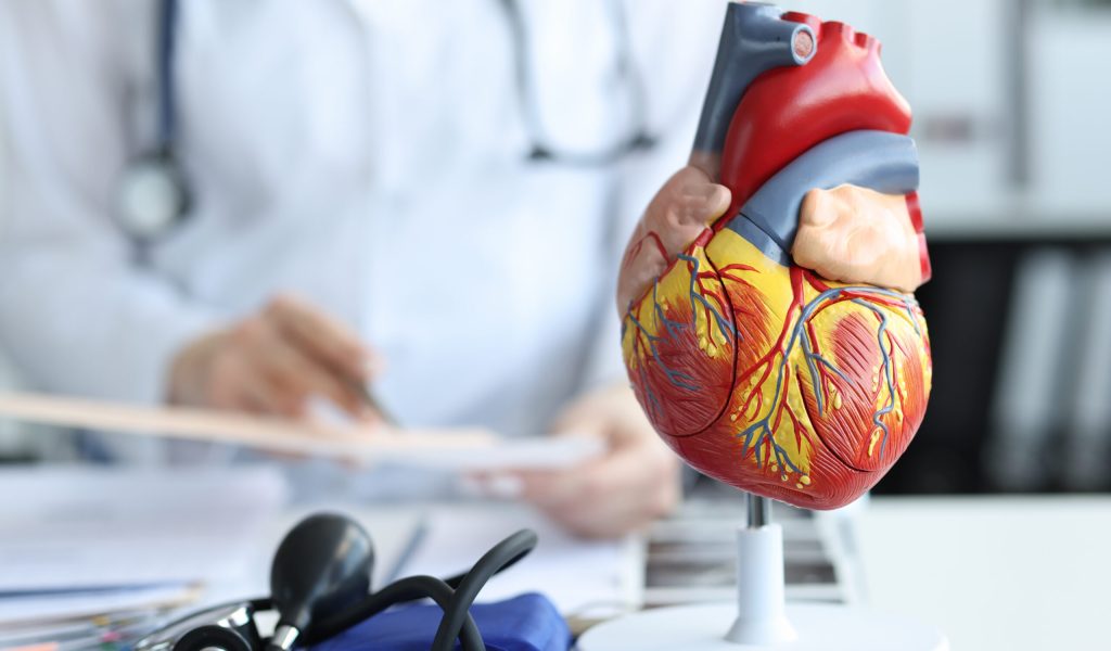 Best Cardiologist in Gubbalala