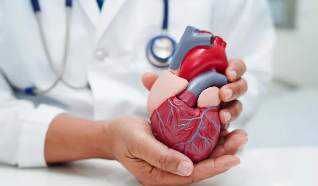 cardiovascular-disease-cvd-doctor-with-heart-human-model-anatomy-treatment-patient-hospital_622428-9659