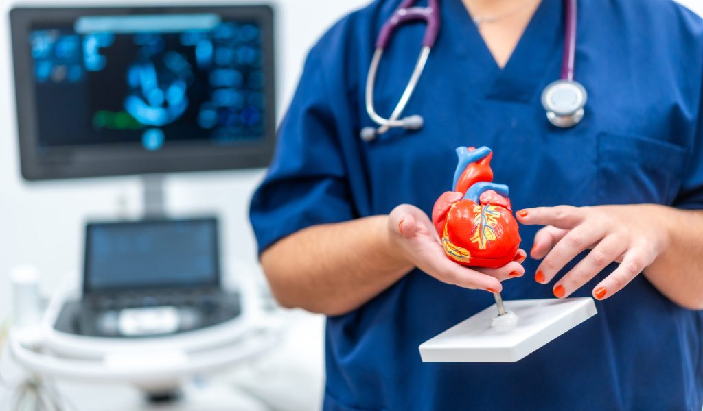 Best Cardiologist in Talaghattapura